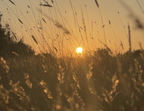 How to stop comparing yourself!